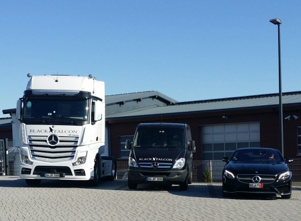 Mercedes European Delivery Program